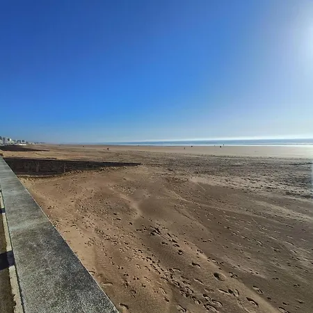 50m From The *